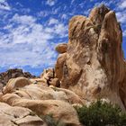 Joshua Tree Nationalpark, California