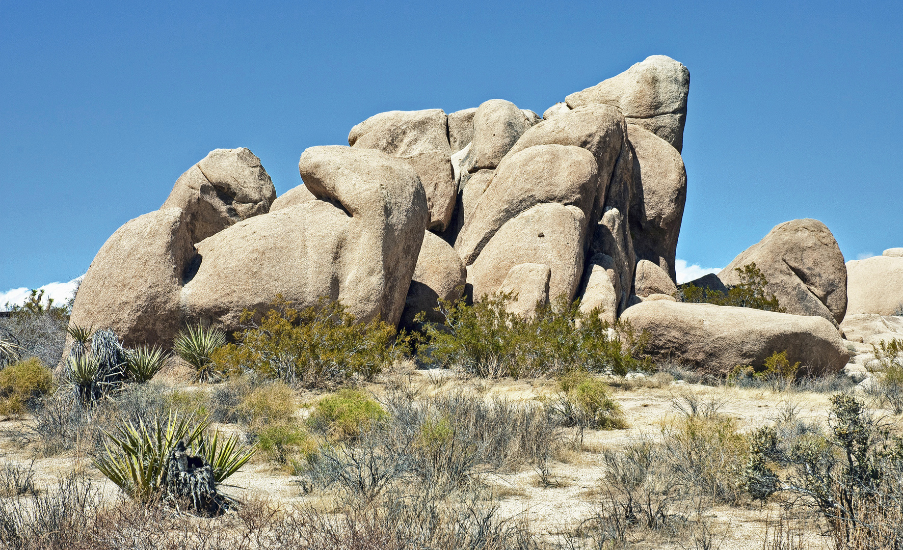 Joshua Tree - Nationalpark in Kalifornien