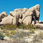 Joshua Tree - Nationalpark in Kalifornien