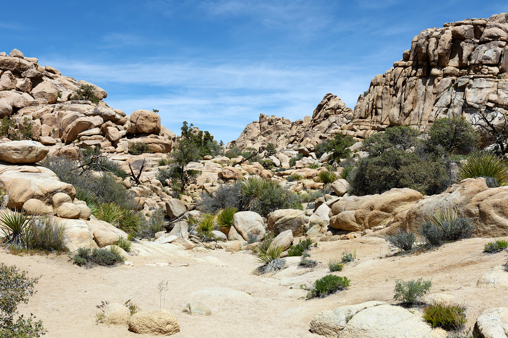 Joshua-Tree-Nationalpark in Kalifornien