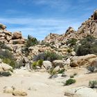 Joshua-Tree-Nationalpark in Kalifornien