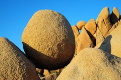 Joshua Tree N.P.