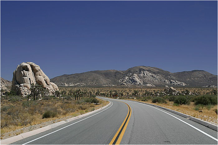 Joshua Tree NP