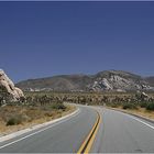 Joshua Tree NP