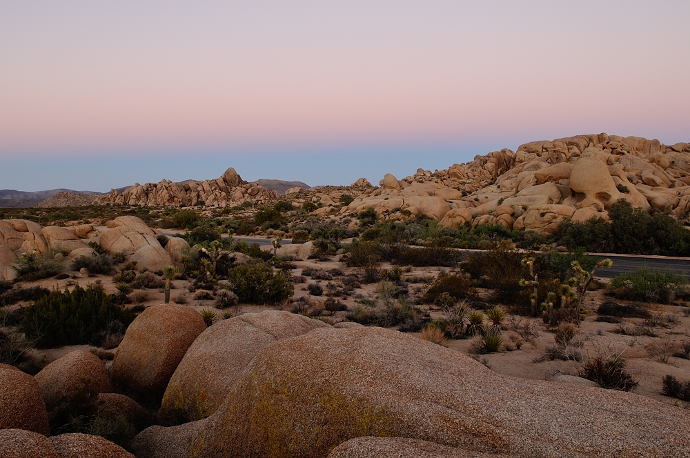 Joshua Tree NP