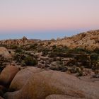 Joshua Tree NP