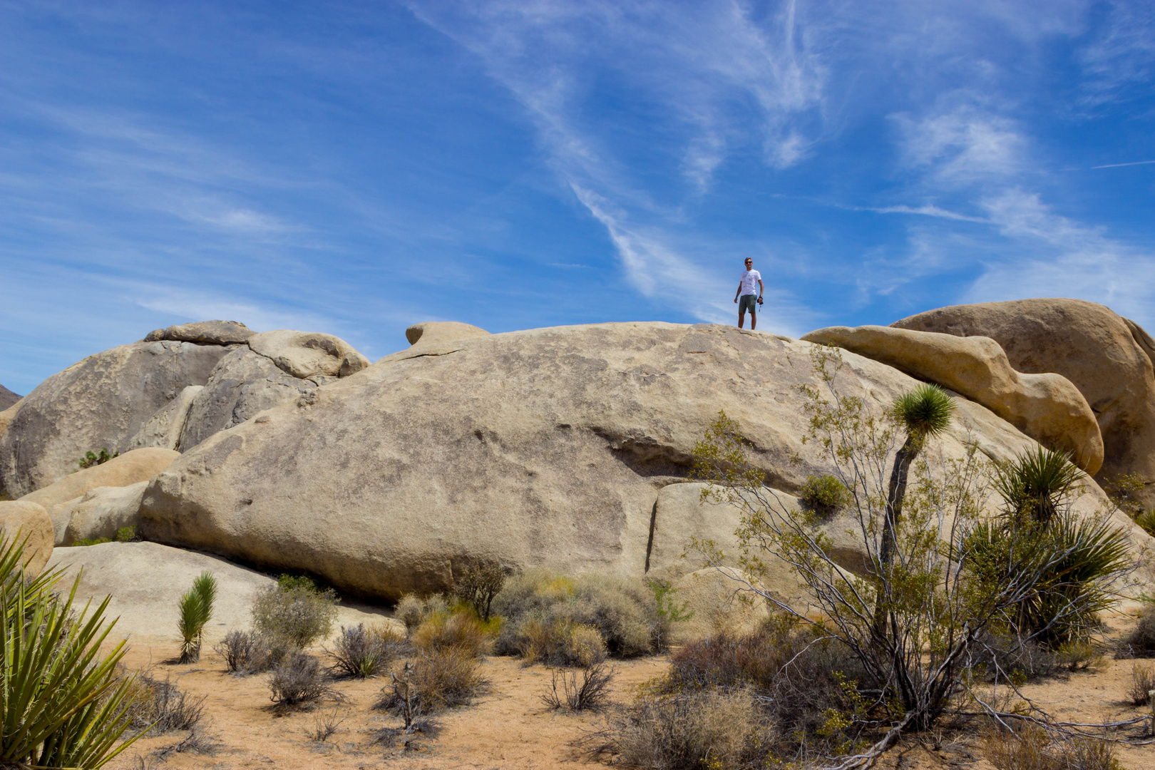 Joshua Tree NP