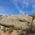 Joshua Tree NP