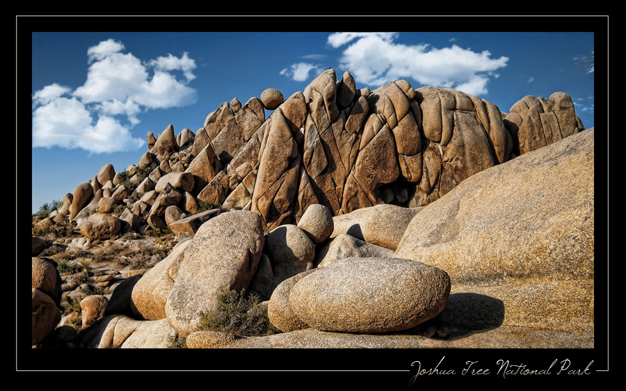 Joshua Tree NP