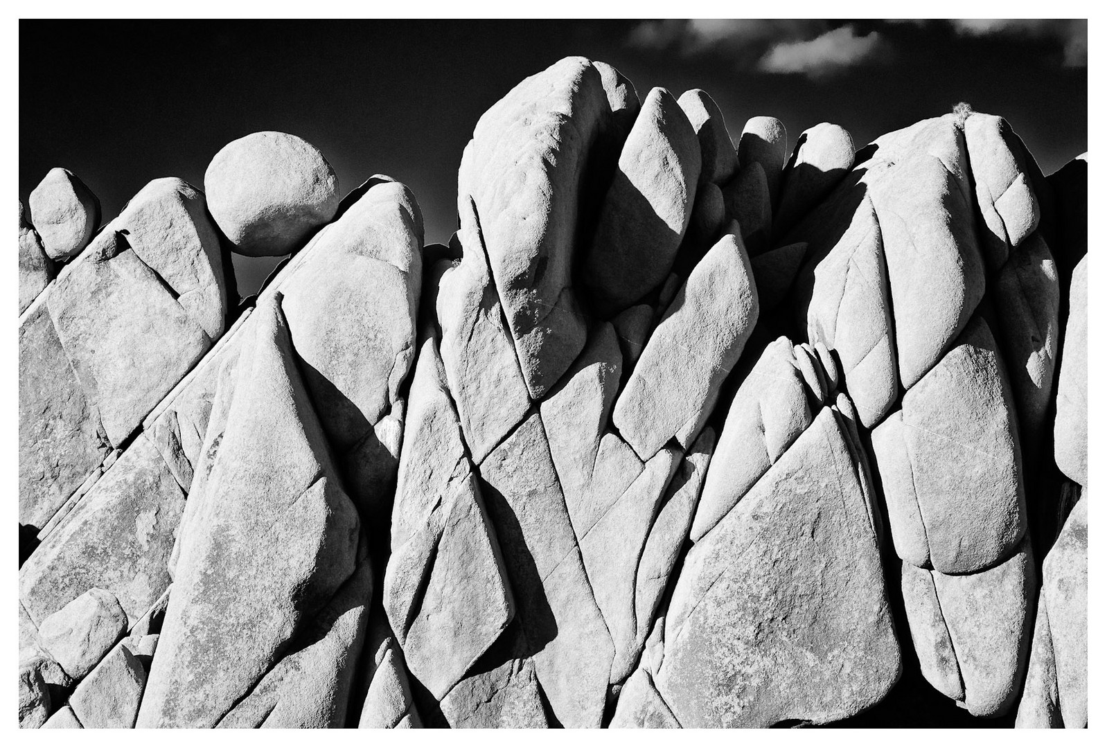 Joshua Tree NP