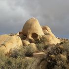 Joshua Tree NP