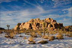 Joshua Tree NP - Kalifornien