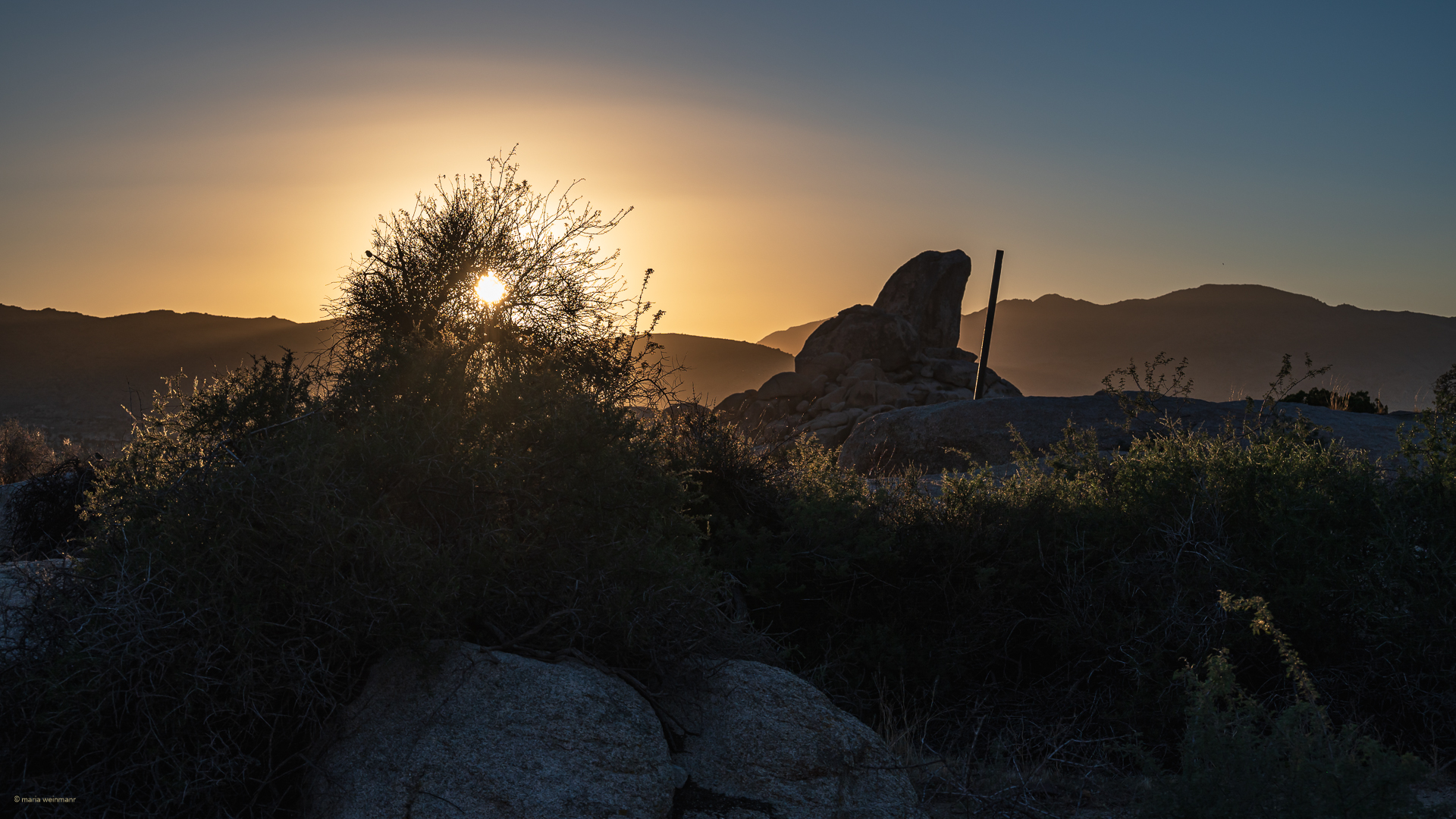 Joshua Tree N.P., Kalifornien, USA.