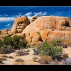 Joshua Tree NP - RELOAD