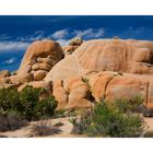 Joshua Tree NP - September 2007