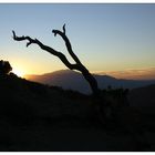 Joshua Tree NP - Sunset I