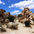 Joshua Tree NP, USA