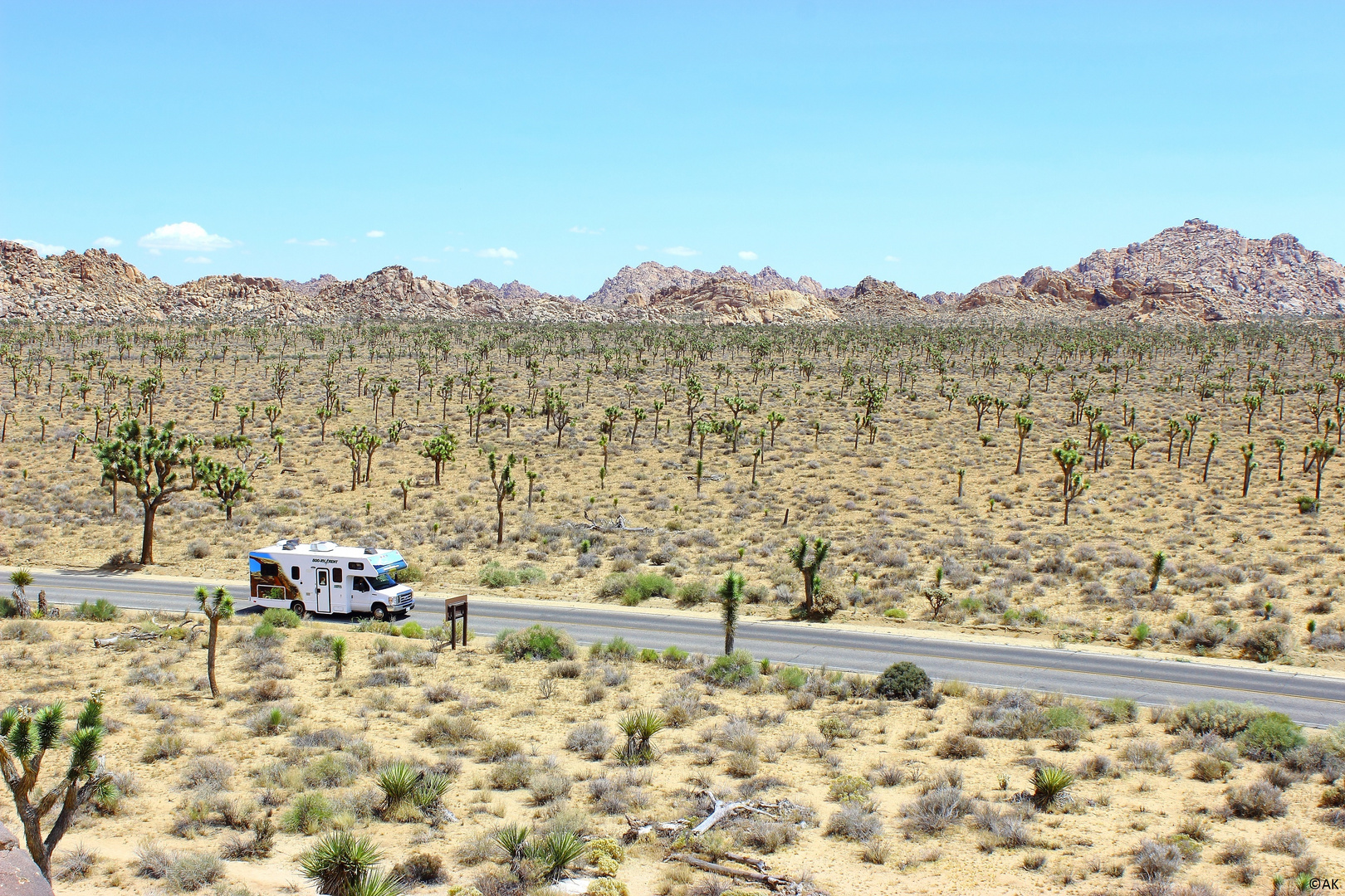 Joshua Tree NP, USA