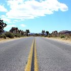 Joshua Tree NP, USA