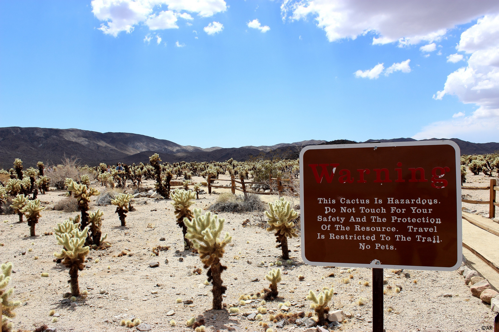 Joshua Tree NP, USA