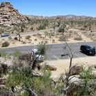 Joshua Tree Park