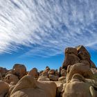 Joshua Tree Park