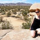 joshua tree park