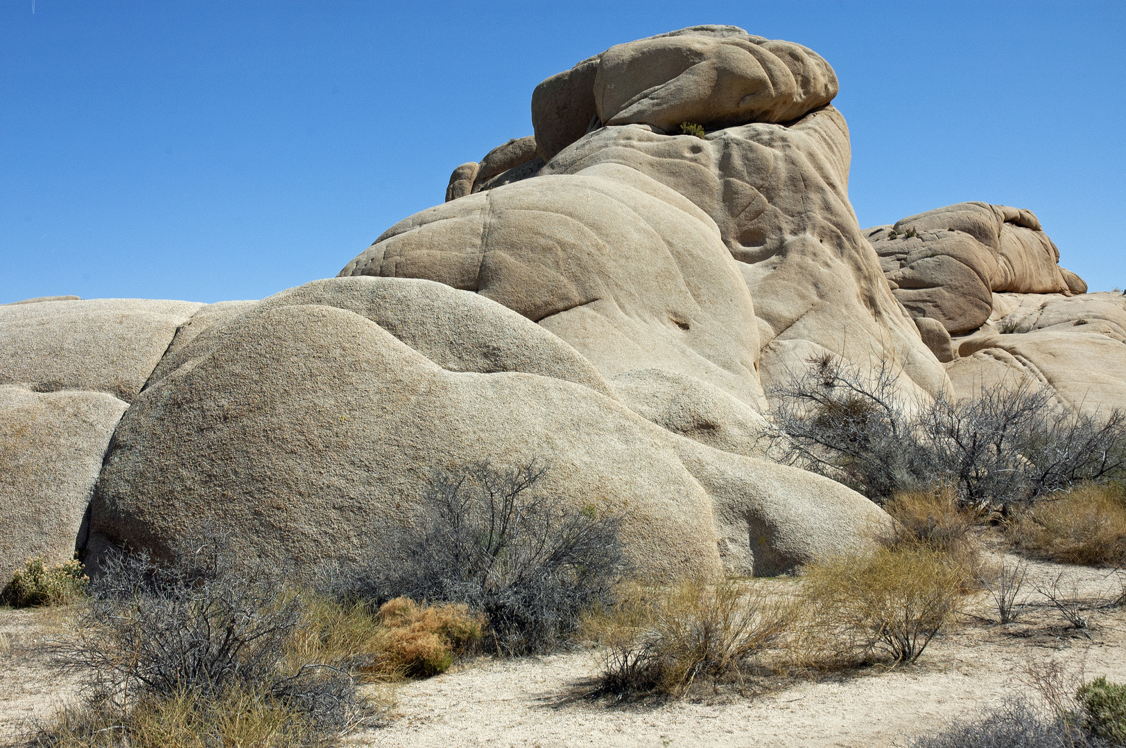 Joshua- Tree-Park