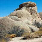 Joshua- Tree-Park