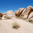 Joshua Tree Park