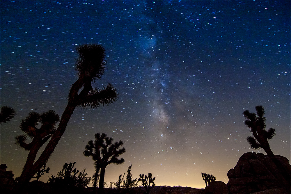 Joshua Tree Park bei Nacht