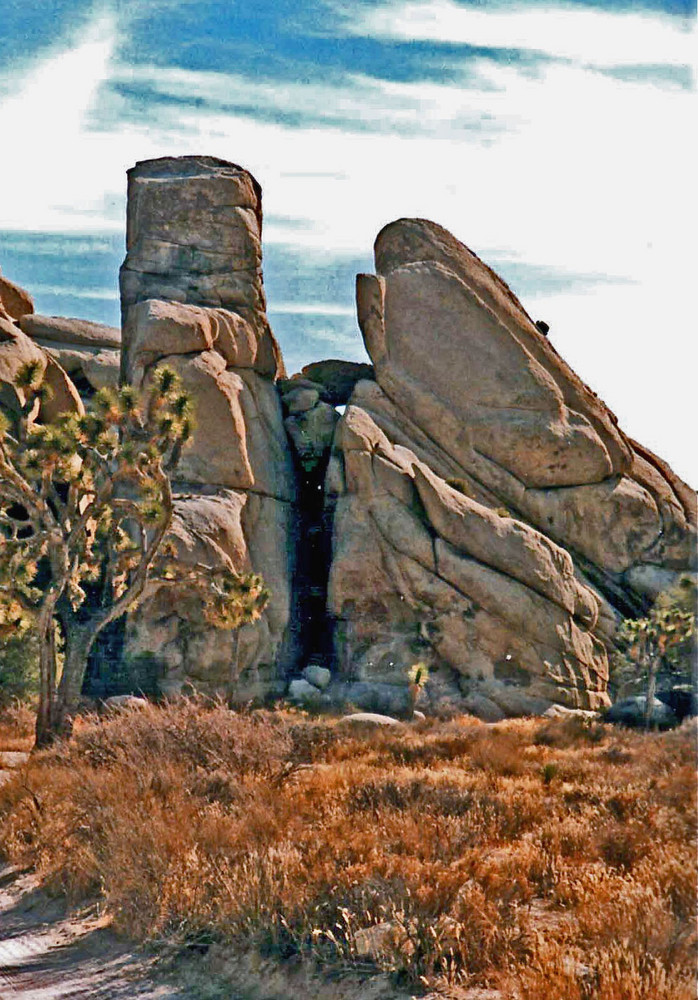 Joshua Tree Park. California