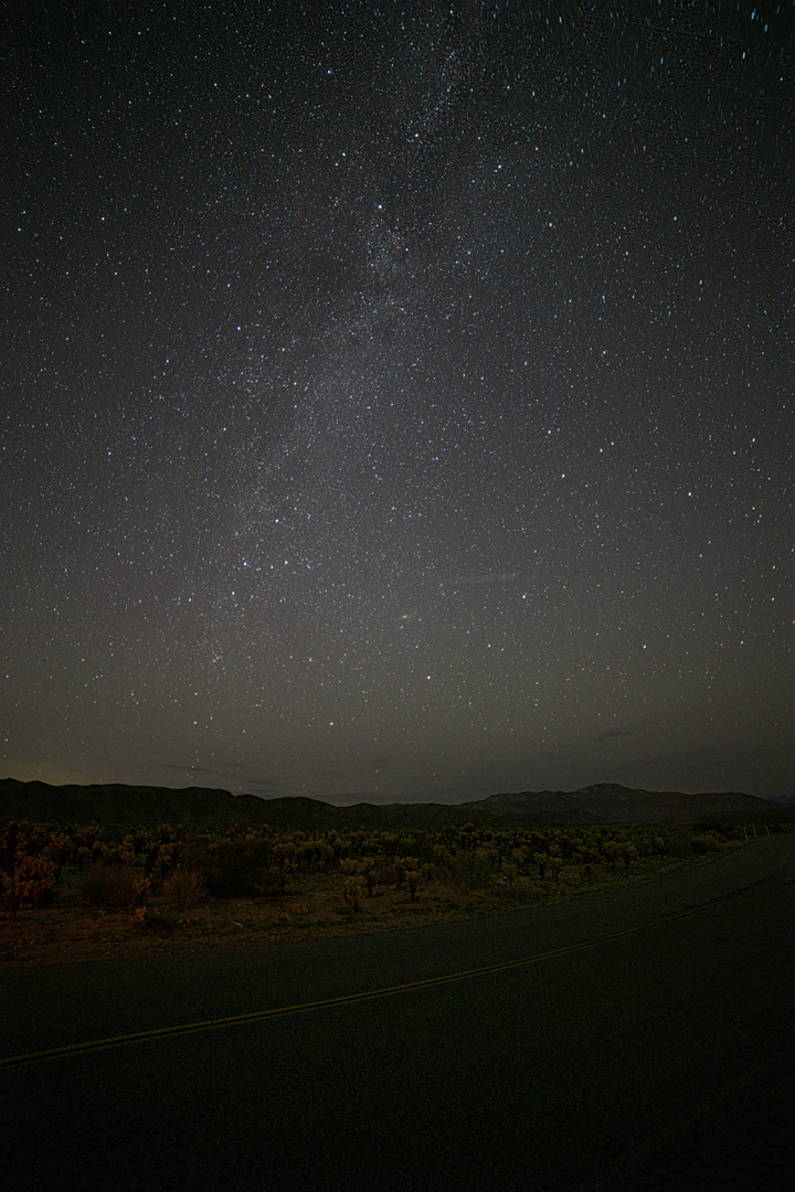 Joshua tree Park Milky Way