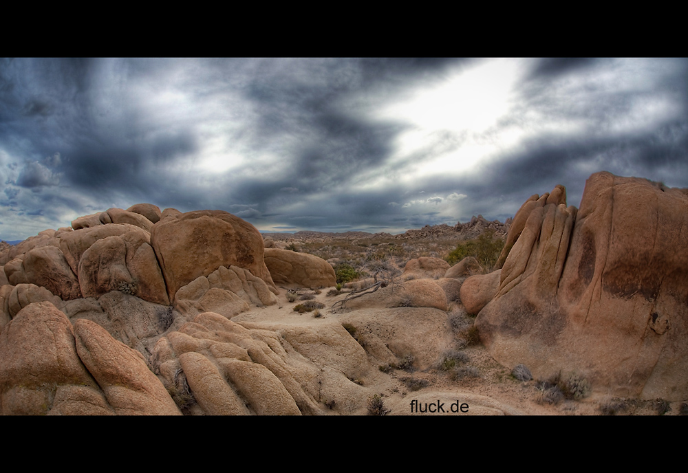 Joshua Tree Park Rocks