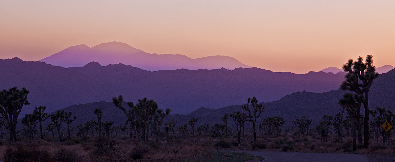 Joshua Tree Road Movie I