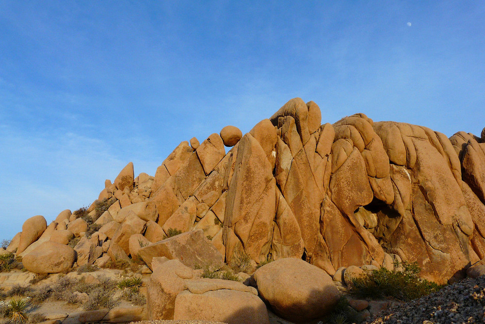 Joshua Tree SP