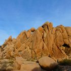 Joshua Tree SP