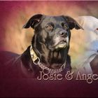 Josie & Angel