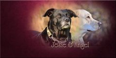 Josie & Angel