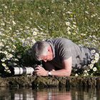 User Profile Photo