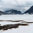 Jostedalsbreen Nationalpark