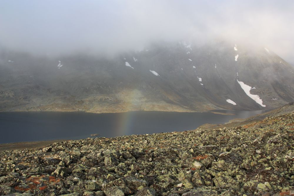 jotunheimen norwegen by julw 