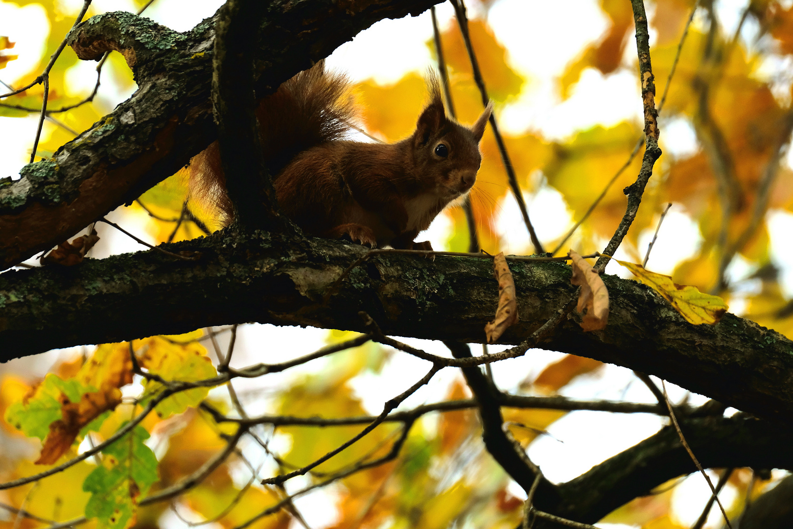 jouer a cache cache 