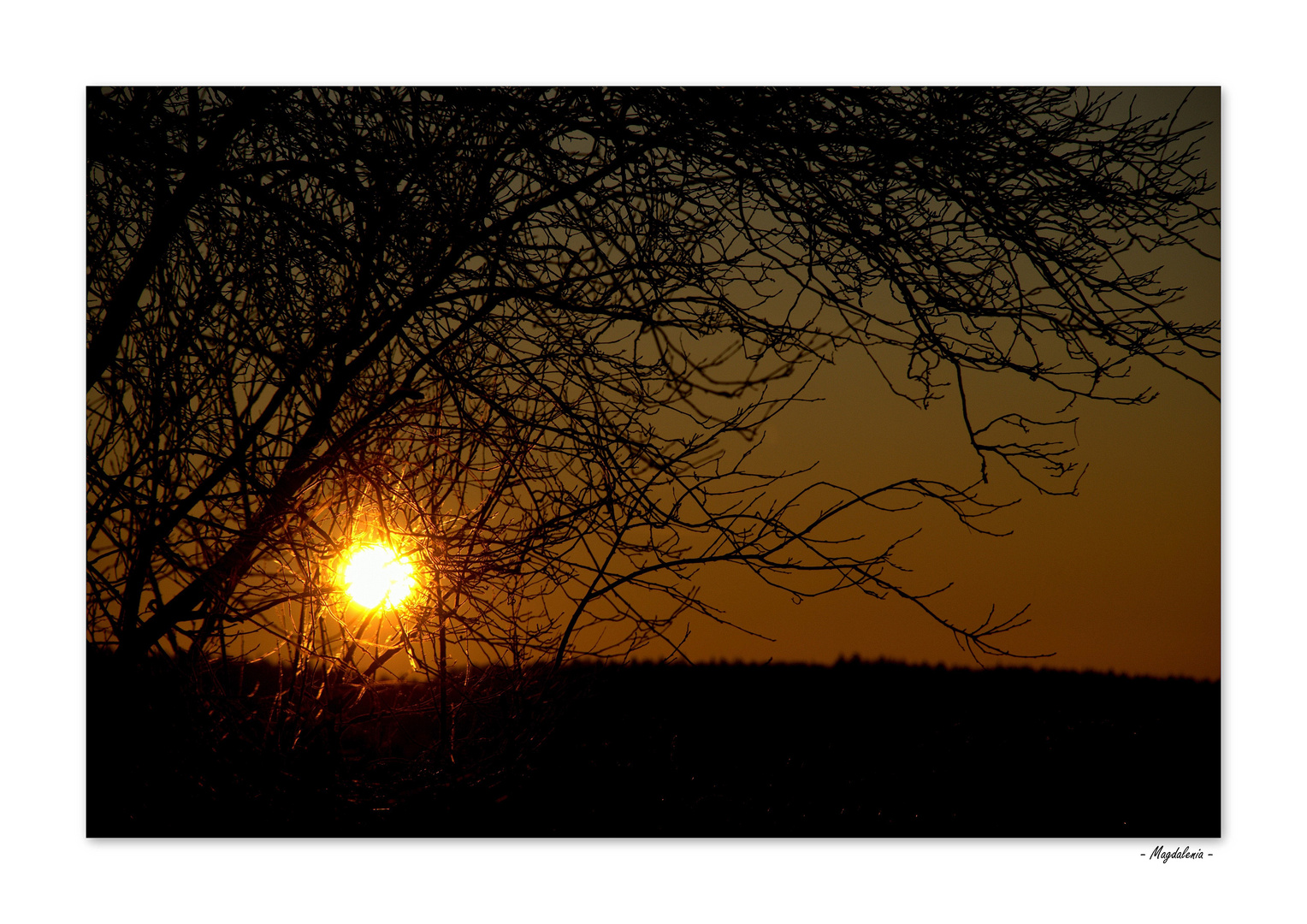 Jouer avec le soleil