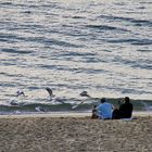 Jouer avec les mouettes !