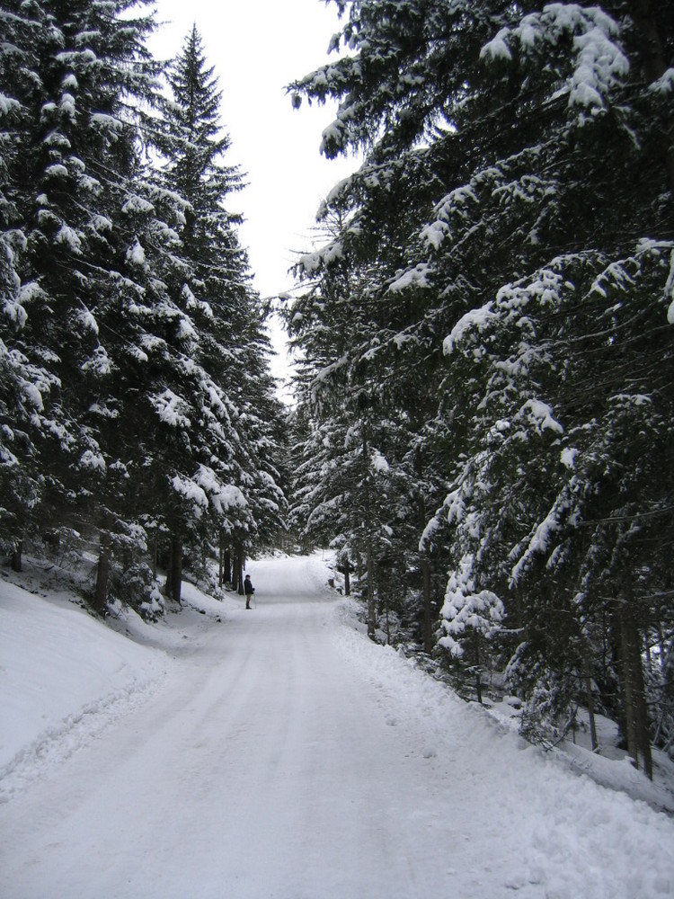 Jour blanc