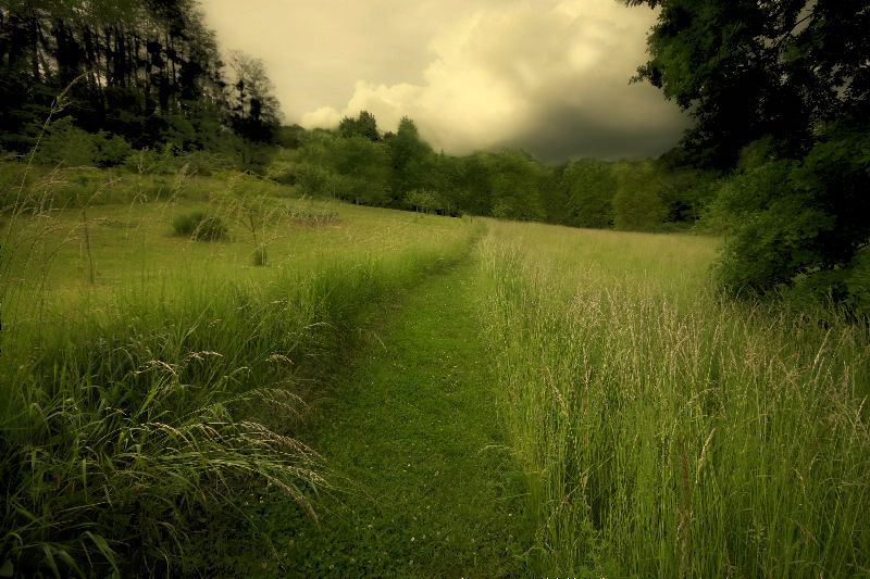 jour d' orage.