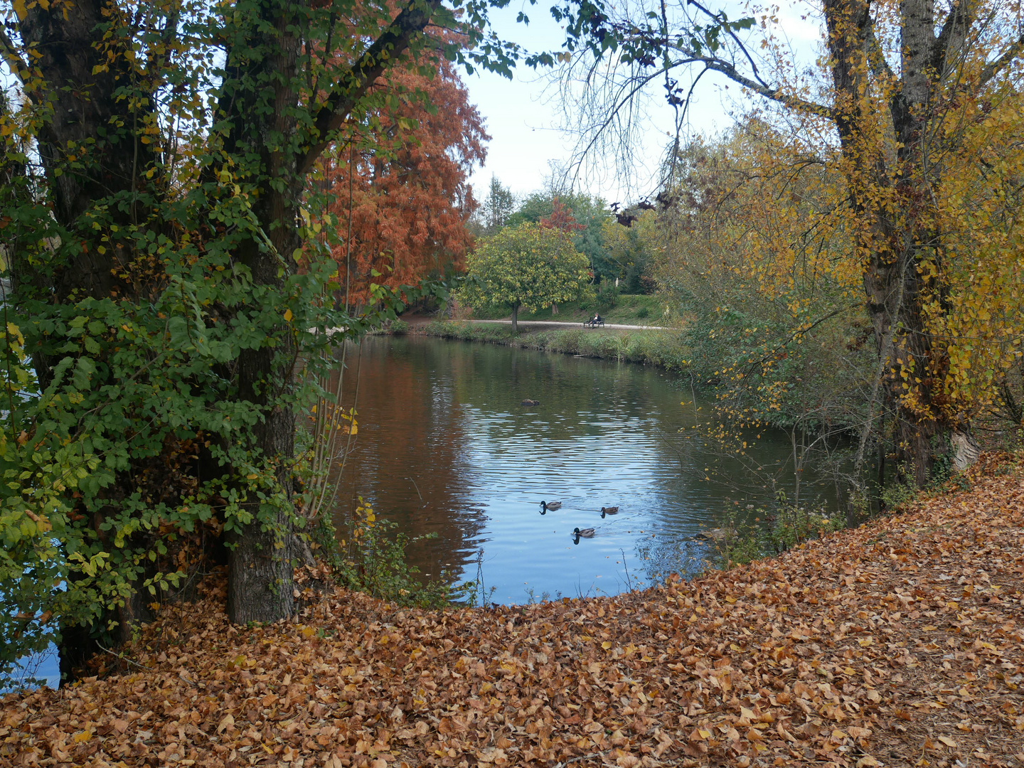 *Jour d'automne