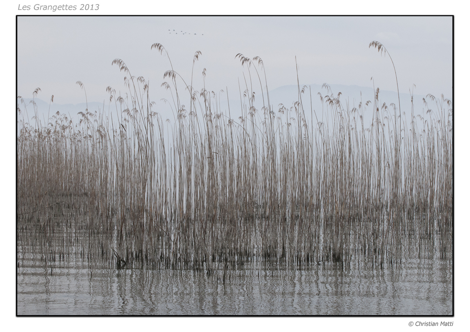 Jour de brume