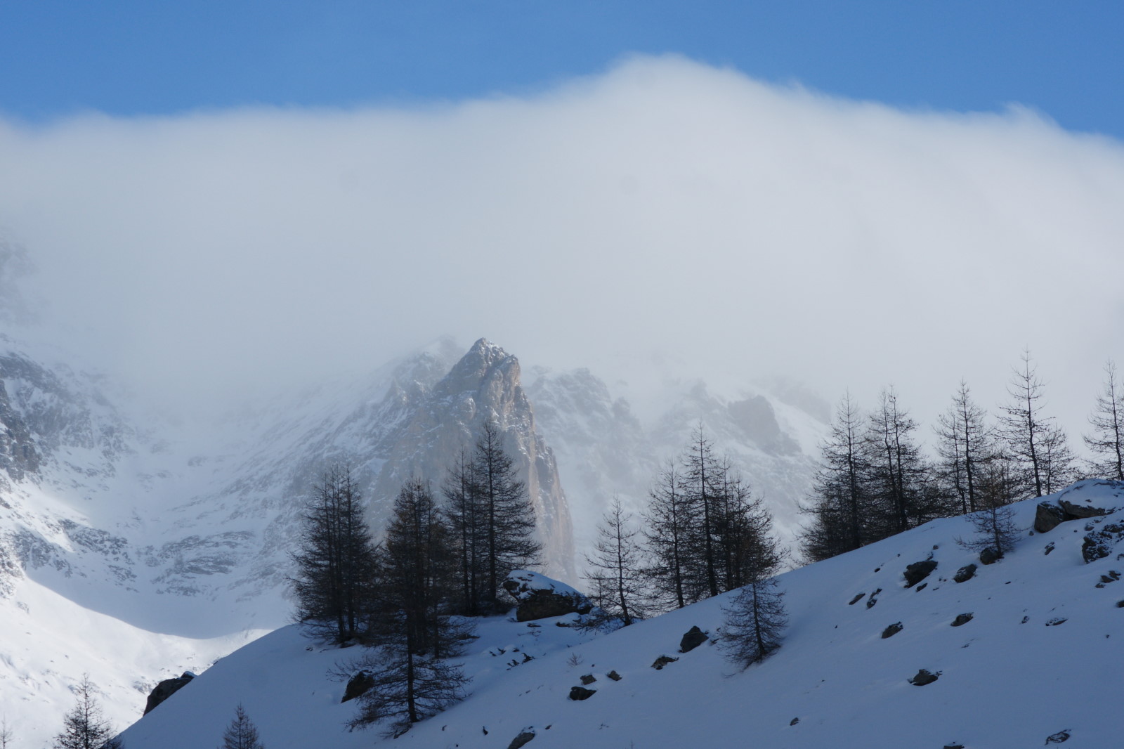 Jour de grand vent et de grand froid. Est ce un jour pour mettre un photographe dehors?